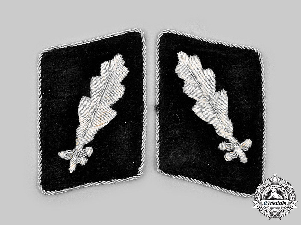germany,_ss._a_set_of_waffen-_ss_standartenführer_collar_tabs_c2020_887_mnc8120_1