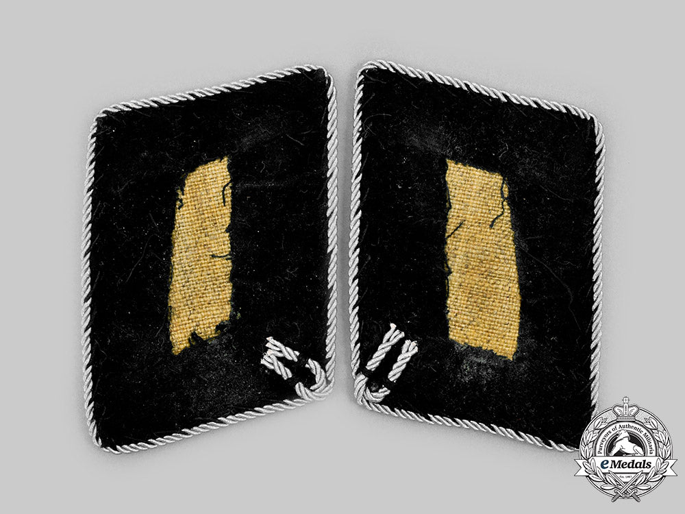 germany,_ss._a_set_of_waffen-_ss_standartenführer_collar_tabs_c2020_888_mnc8122_1