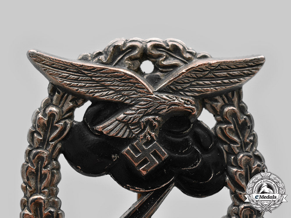 germany,_luftwaffe._a_ground_assault_badge_c20216_mnc4030_1
