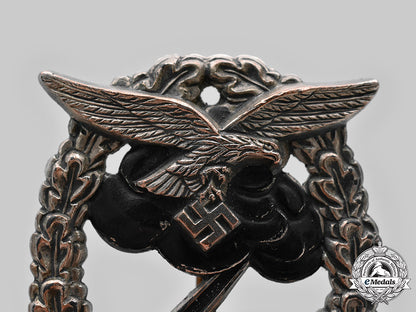 germany,_luftwaffe._a_ground_assault_badge_c20216_mnc4030_1