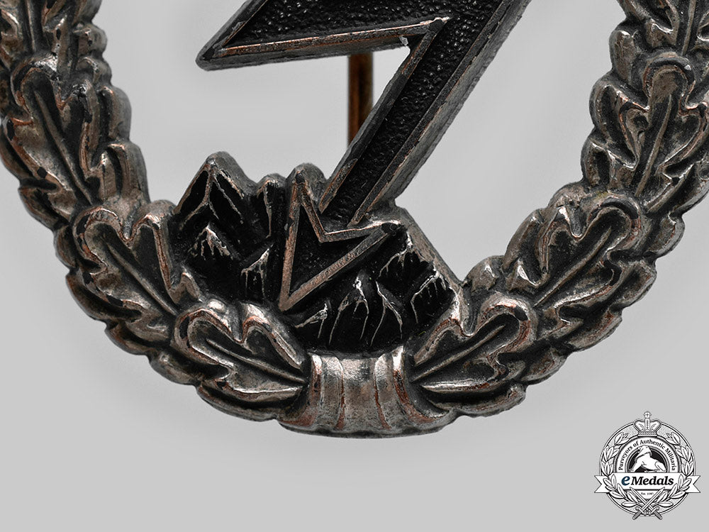 germany,_luftwaffe._a_ground_assault_badge_c20217_mnc4033_1