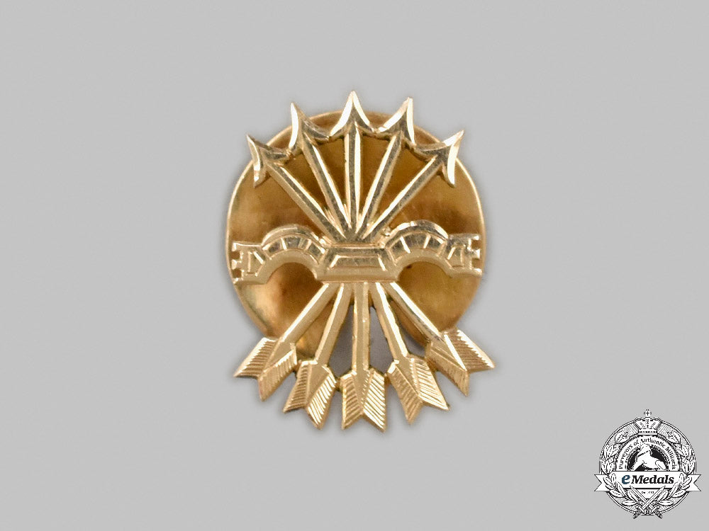spain,_francoist_era._falange_membership_badge_in_gold,_attributed_to_minister_of_external_affairs_ramón_serrano_suñer_c2021_358_mnc9467