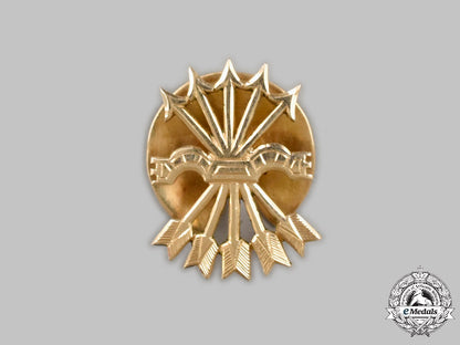 spain,_francoist_era._falange_membership_badge_in_gold,_attributed_to_minister_of_external_affairs_ramón_serrano_suñer_c2021_358_mnc9467