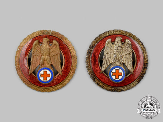 slovakia,_republic._two_slovak_red_cross_exemplary_service_badges_c2021_493_mnc0126
