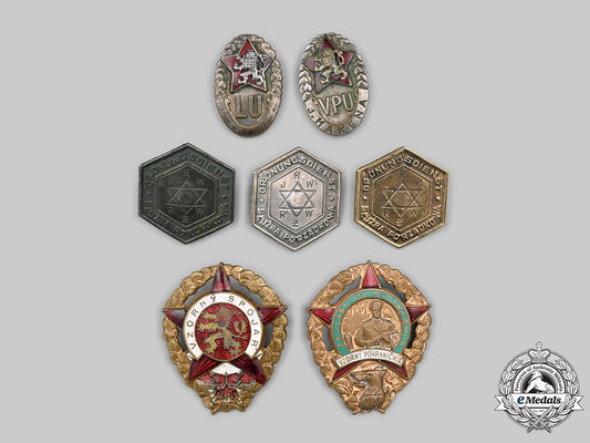 czechoslovakia._a_mixed_lot_of_badges_c2021_616_mnc4916