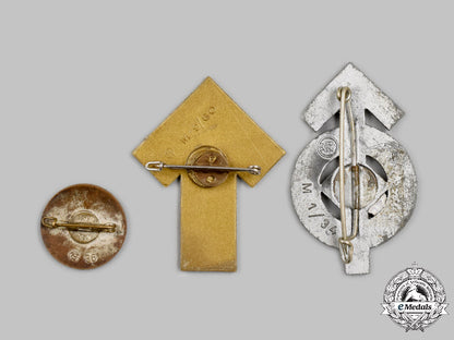 germany,_hj._a_mixed_lot_of_deutsches_jungvolk_and_hj_badges_c2021_673_mnc7502_1