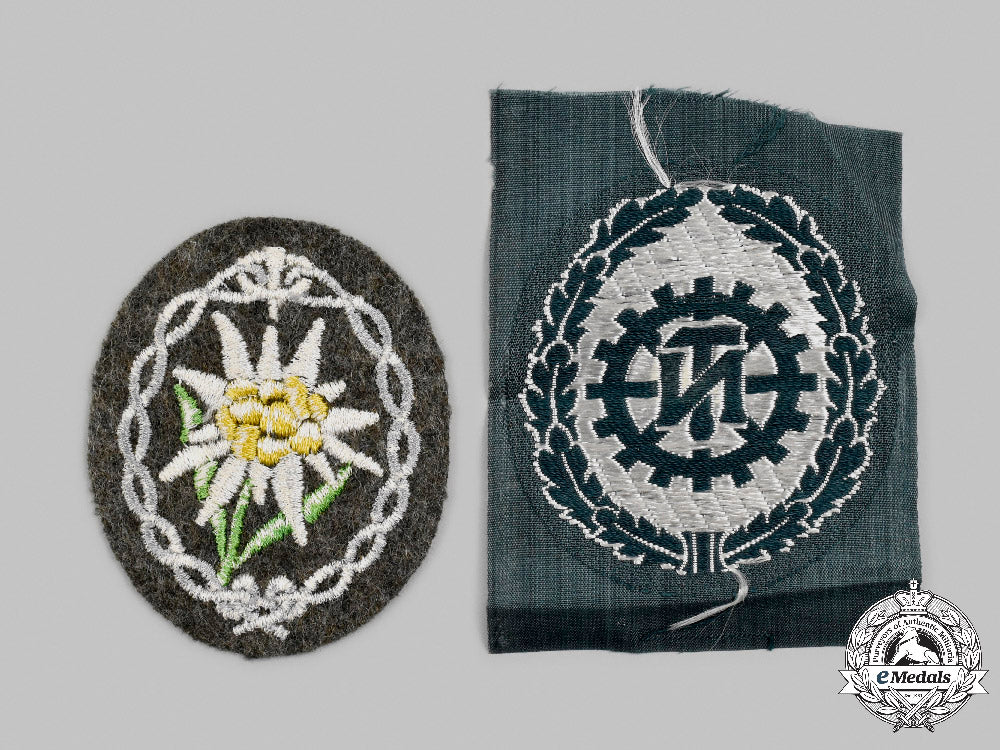 germany,_third_reich._a_pair_of_uniform_insignia_c2021_698_mnc7556_1