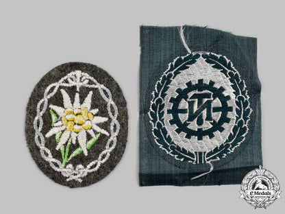 germany,_third_reich._a_pair_of_uniform_insignia_c2021_698_mnc7556_1