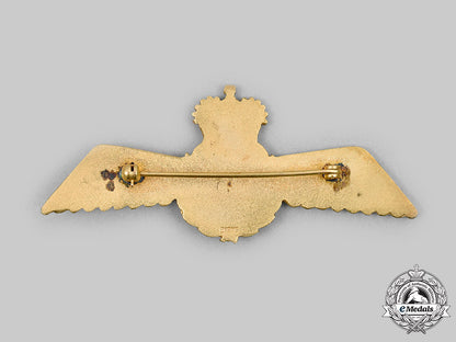 canada._a_prototype_royal_canadian_air_force(_rcaf)_navigator_badge_c.1968_c20276_mnc9847_1