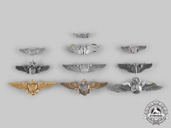 United States. A Lot Of Ten Flight Badges
