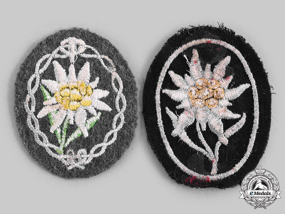 germany,_wehrmacht._a_pair_of_edelweiss_sleeve_insignia,_heer_and_ss_c20375_emd3549_1