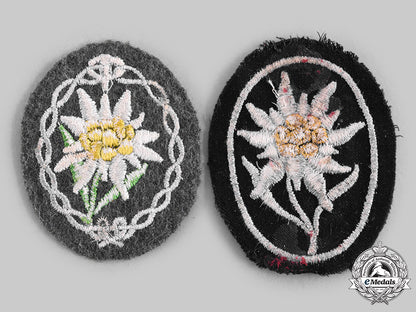 germany,_wehrmacht._a_pair_of_edelweiss_sleeve_insignia,_heer_and_ss_c20375_emd3549_1