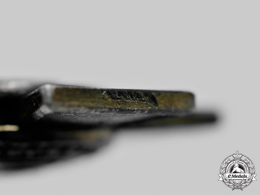 oldenburg,_kingdom._a_house_order_of_duke_peter_friedrich_ludwig,_ii_class_miniature,_c.1918_c20440_mnc1517_1