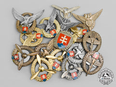 Slovakia, Republic. A Lot Of Sixteen Slovak Air Force Badges