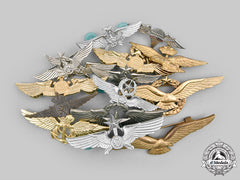 International. A Lot Of Fifteen Air Force Badges