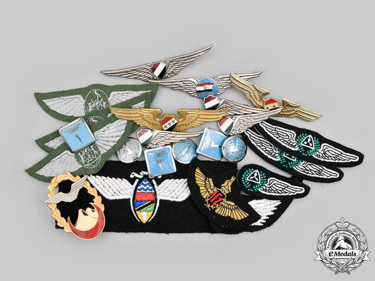 international._a_lot_of_twenty-_three_african_and_middle_eastern_air_force_badges_c20530_mnc1366_1