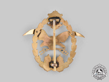 austria-_hungary,_empire._an_observer_and_balloon_crew_badge_c20550_mnc0553_1