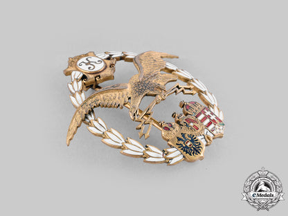 austria-_hungary,_empire._an_observer_and_balloon_crew_badge_c20551_mnc0555_1