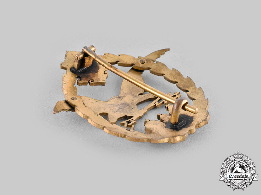 austria-_hungary,_empire._an_observer_and_balloon_crew_badge_c20552_mnc0564_1