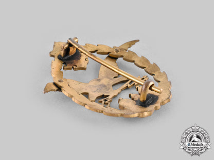 austria-_hungary,_empire._an_observer_and_balloon_crew_badge_c20552_mnc0564_1