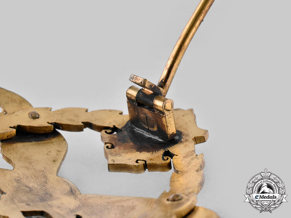 austria-_hungary,_empire._an_observer_and_balloon_crew_badge_c20554_mnc0570_1