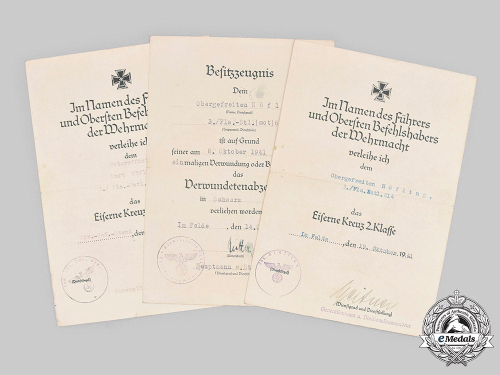 germany,_heer._the_award_documents_to_anti-_aircraft_nco_höfling(_ek1)_c20611_mnc6017