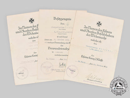 germany,_heer._the_award_documents_to_anti-_aircraft_nco_höfling(_ek1)_c20611_mnc6017