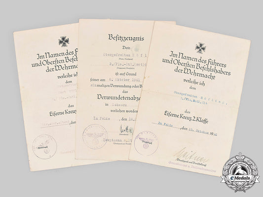 germany,_heer._the_award_documents_to_anti-_aircraft_nco_höfling(_ek1)_c20611_mnc6017