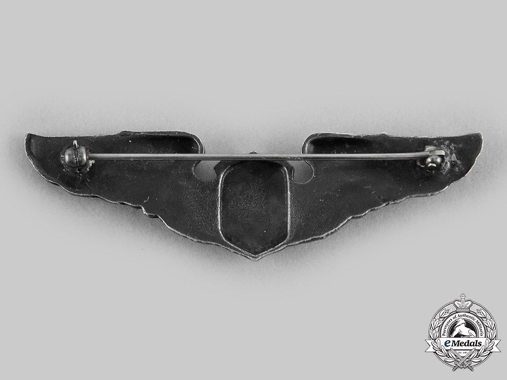 united_states._an_army_air_force_liaison_pilot_badge,_c.1943_c20705_emd2503