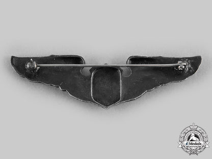 united_states._an_army_air_force_liaison_pilot_badge,_c.1943_c20705_emd2503
