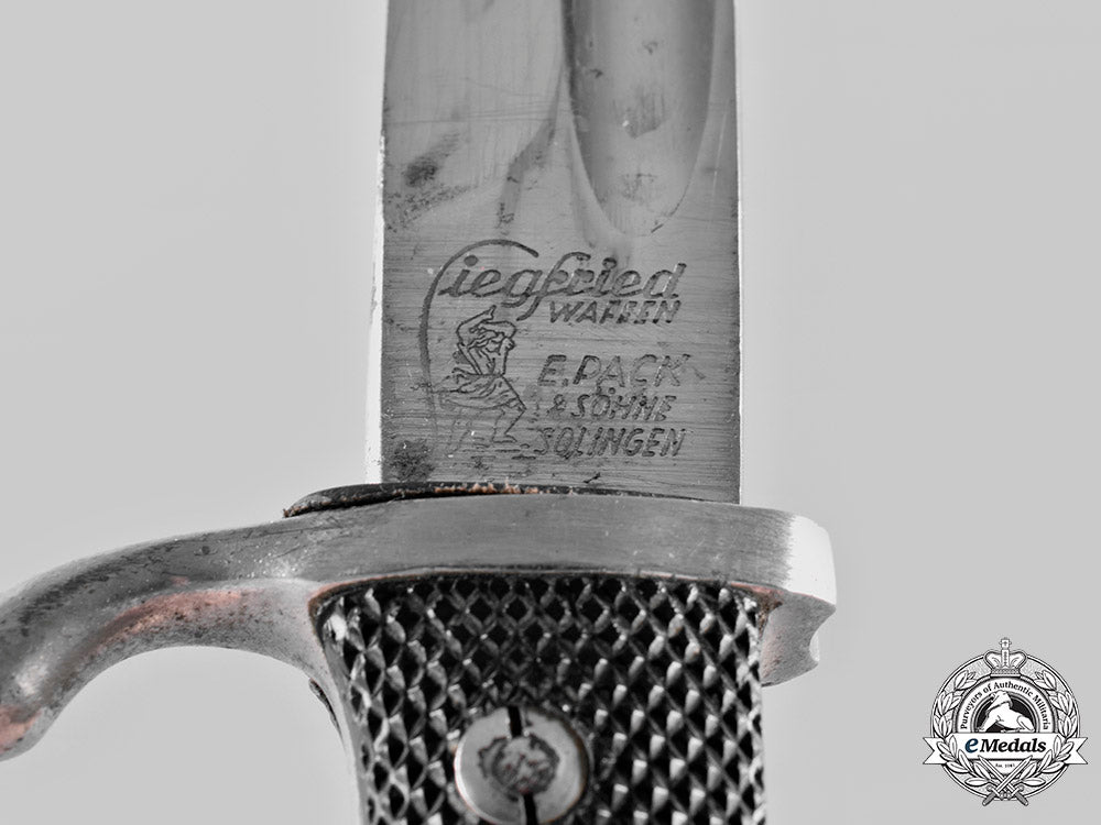 germany,_heer._a_service_memory_dress_bayonet,_by_ernst_pack&_söhne_c20794_mnc2727_1