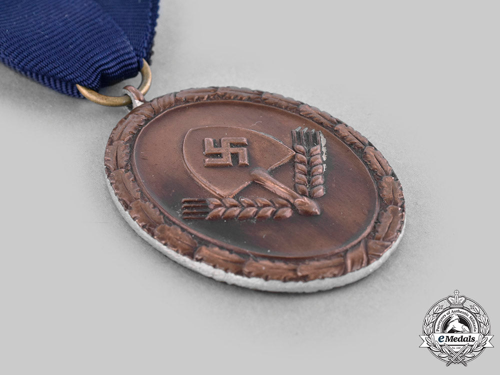 germany,_rad._a_reich_labour_service4-_year_long_service_medal_c20798_mnc2795_2_1