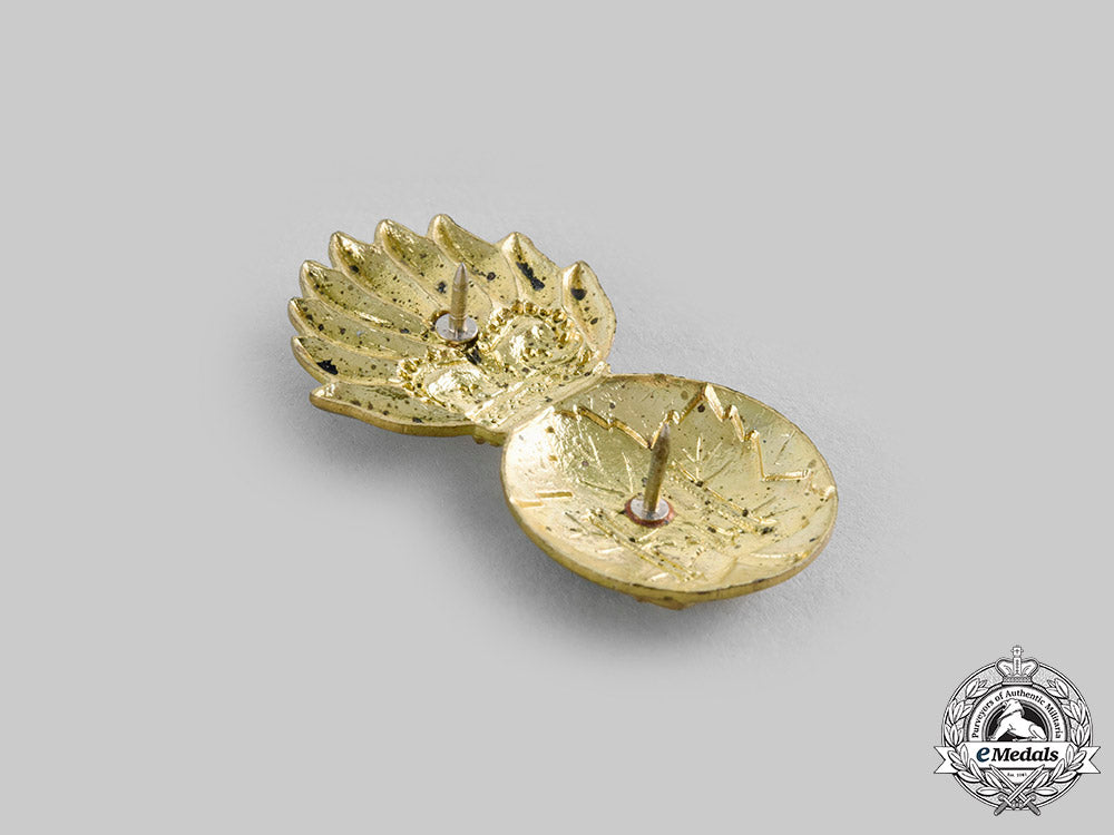 canada._three_highland_light_infantry_of_canada_badges_c20_00684