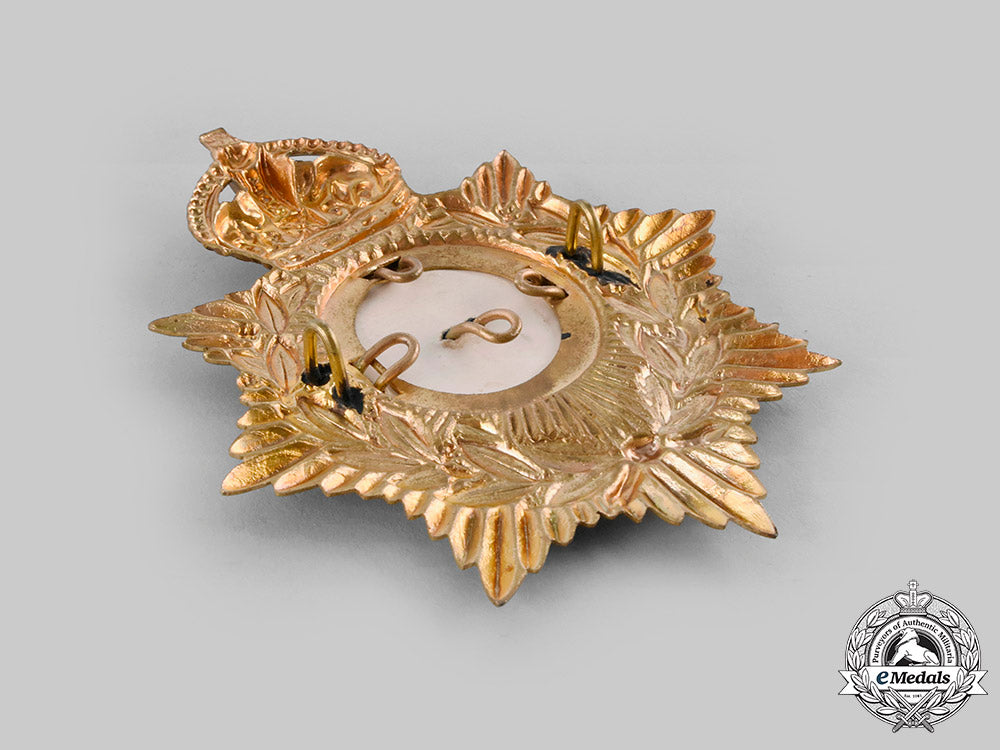 united_kingdom._a_lincolnshire_regiment_shako_plate,_c.1910_c20_00899