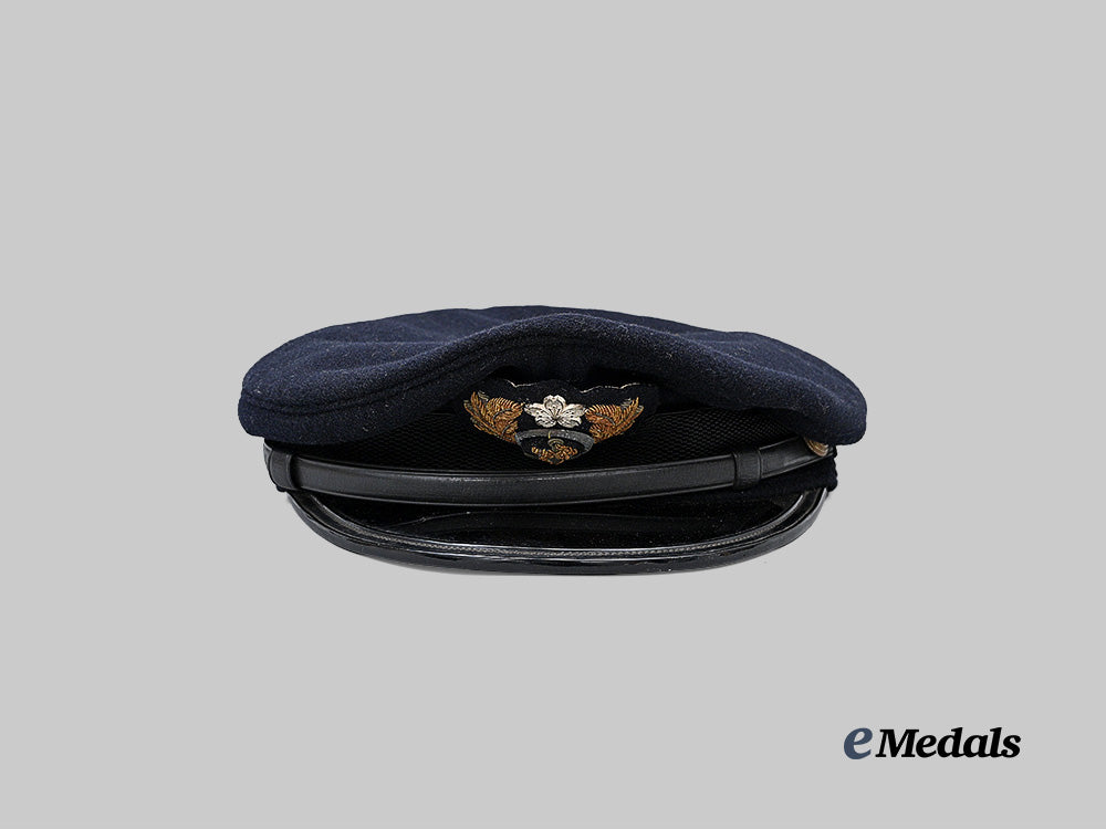 japan,_empire._a_pair_of_officer's_visors_e_medals__w8665_14