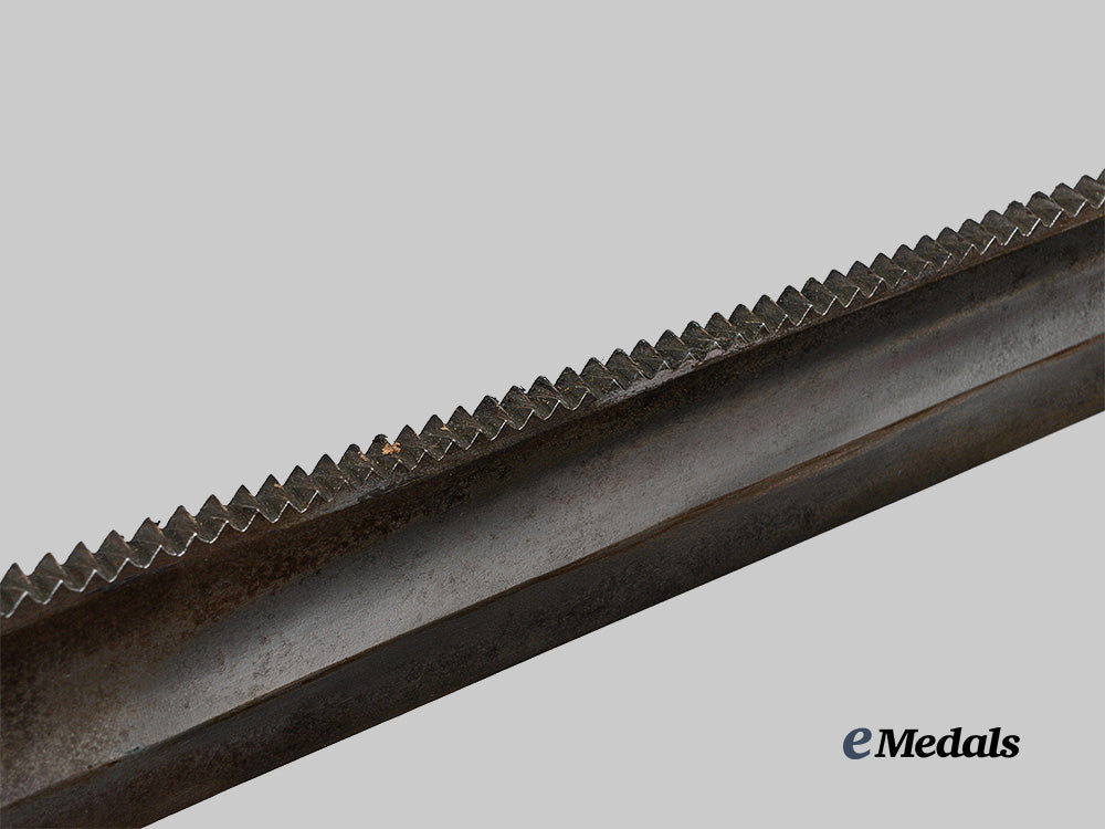 france,_july_monarchy._a_model1831“_glaive”_sawback_short_artillery_sword_e_medals__e_u24680_11