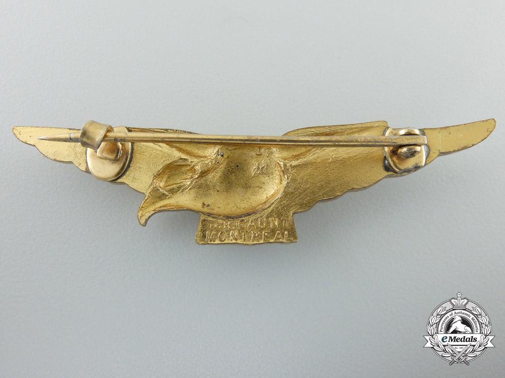 a_second_war_royal_air_force(_raf)_pathfinder_eagle_by_j.r.gaunt_c_101