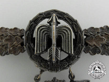 germany,_luftwaffe._a_squadron_clasp_for_figher_pilot's,_gold_grade,_by_rudolf_karneth_c_4510_1