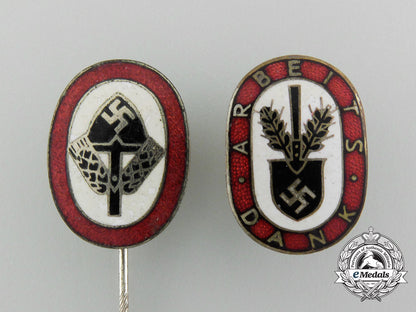 a_lot_of_two_reichsarbeitsdienst_badges_c_4798