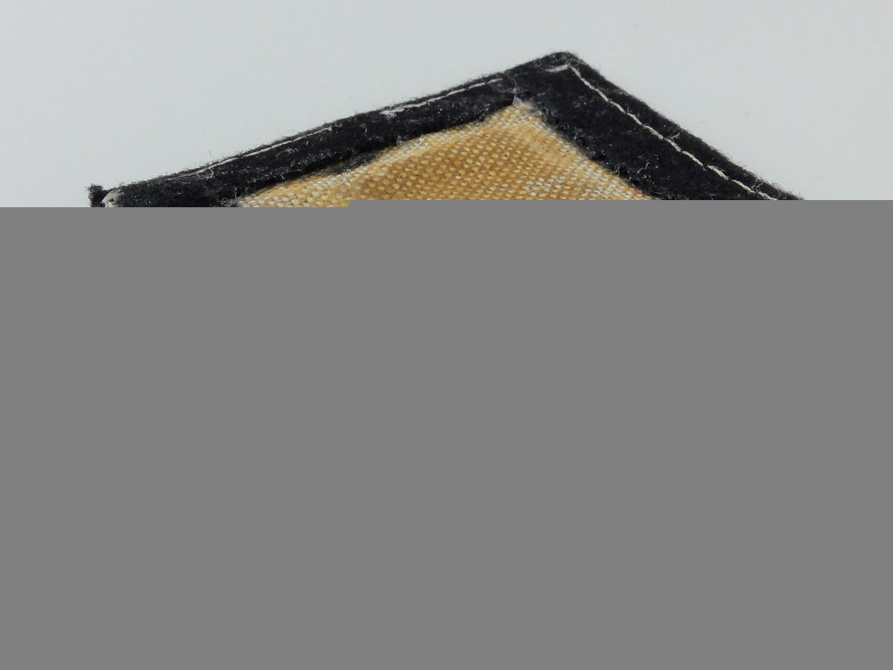 a30_th-_waffen-_grenadier-_division-_der-_ss(_weissruthenische_nr.1)_collar_tab_c_486