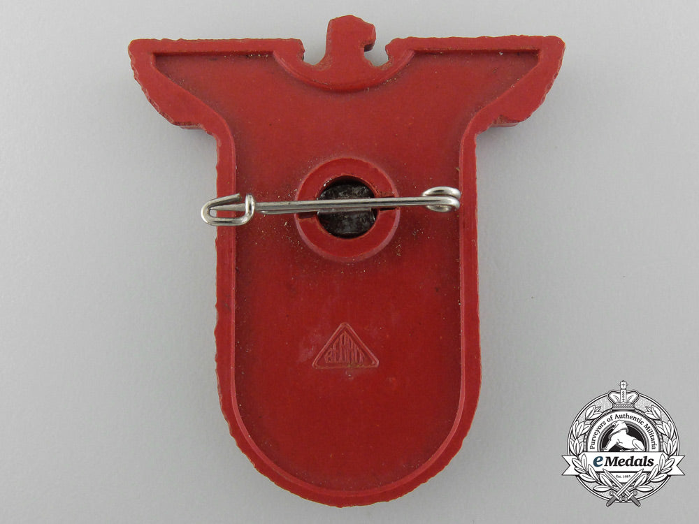 a19376_th_hessen_district_day_of_the_nsdap_by_bebrit_c_5056