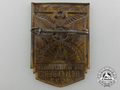 a1933_nsdap_district_mittelfranken_hesselberg_badge_c_5062