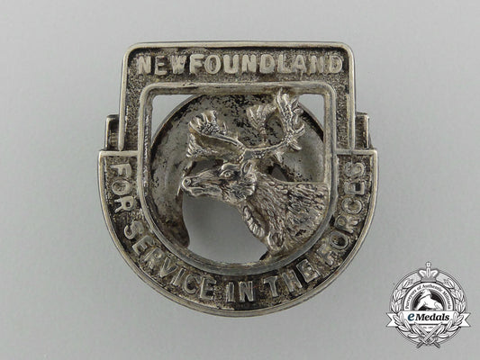 a_newfoundland_service_collar_badge_c_5607