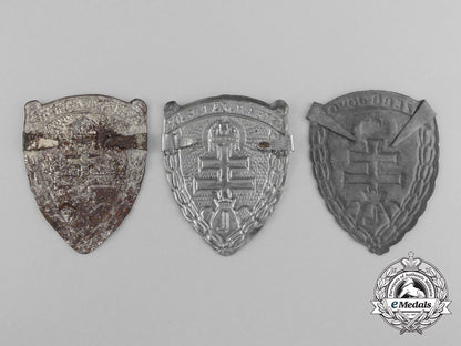 three_hungarian_levente_cap_badges_c_7713