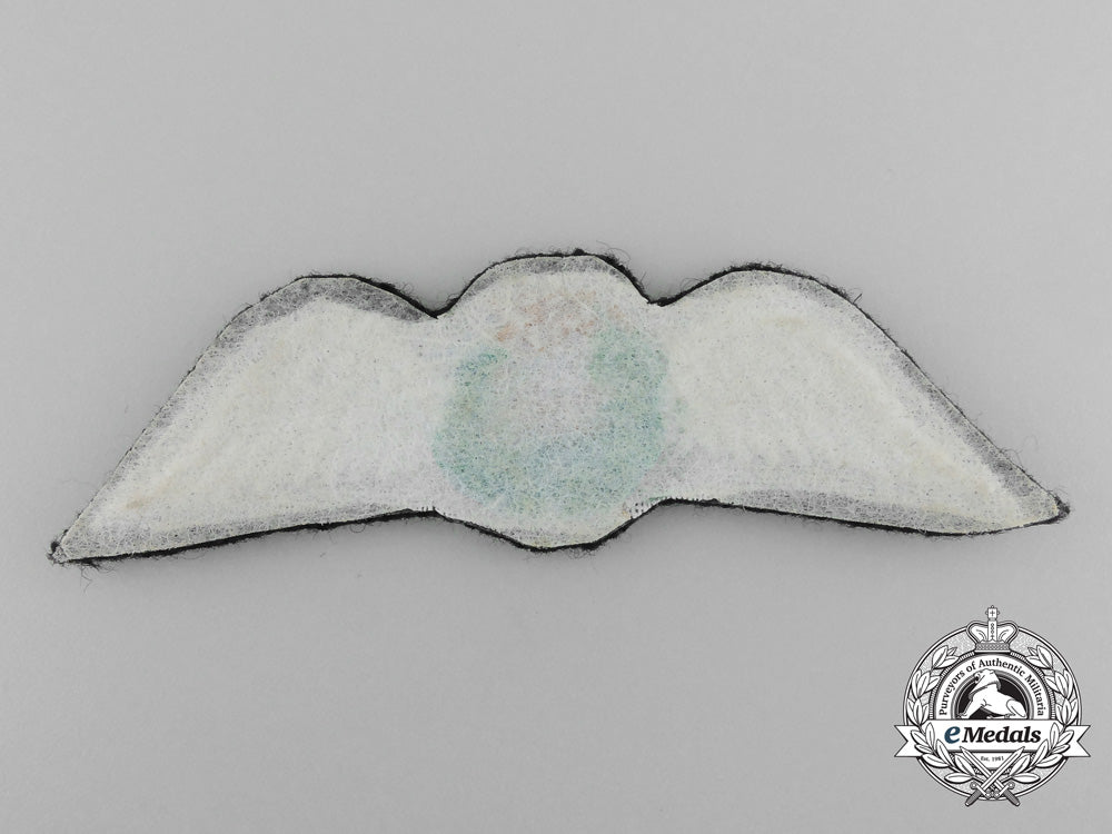 a_hong_kong_government_flying_service_pilot_wing_c_8364