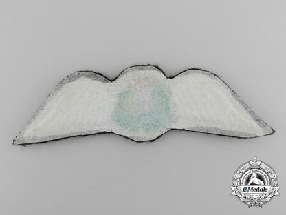 a_hong_kong_government_flying_service_pilot_wing_c_8364