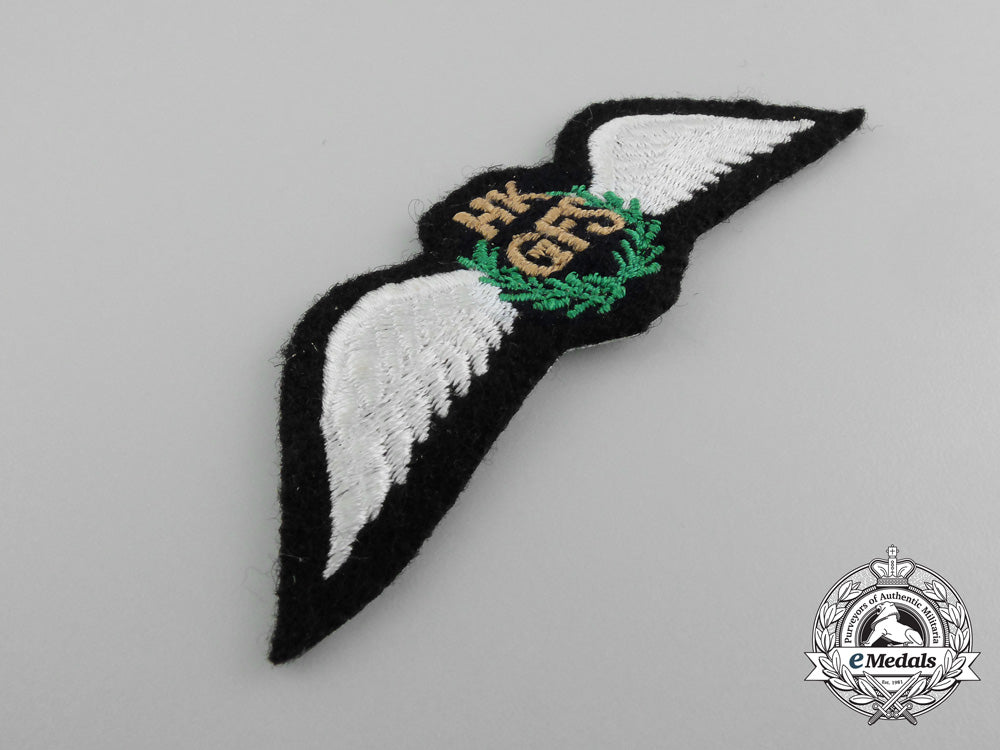 a_hong_kong_government_flying_service_pilot_wing_c_8365