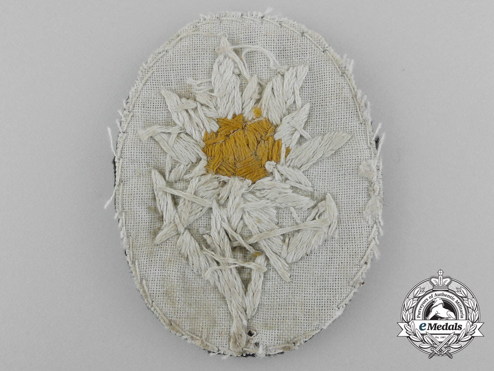 an_ss-_gebirgstruppen_sleeve_edelweiss_c_8830