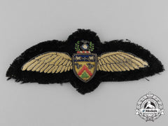 An Unknown Pilot Wing