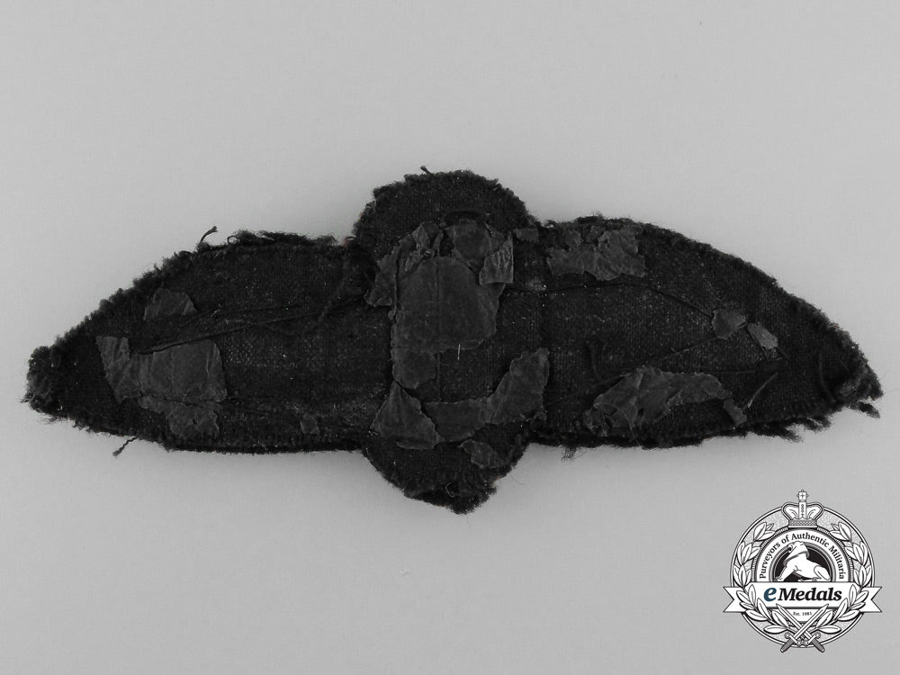 an_unknown_pilot_wing_c_8866